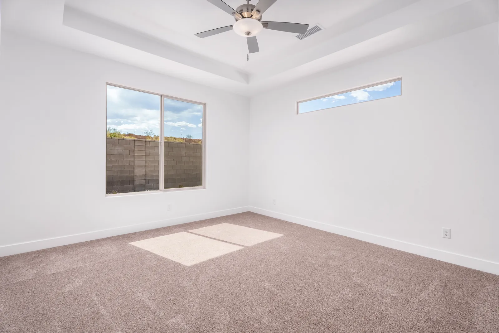 Primary bedroom with a tray ceiling and a large window